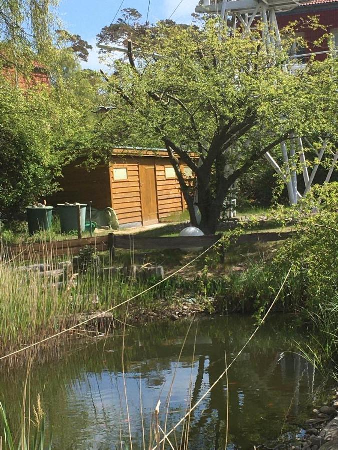 Fewo Schwalbennest Am Meer-Exklusiv-Eigener Strandzugang Ostseebad Kühlungsborn Kültér fotó